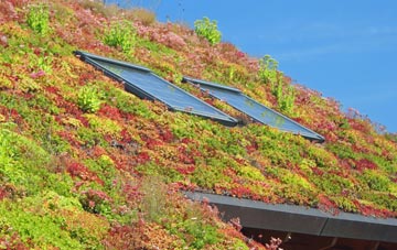 Batsworthy living roof systems